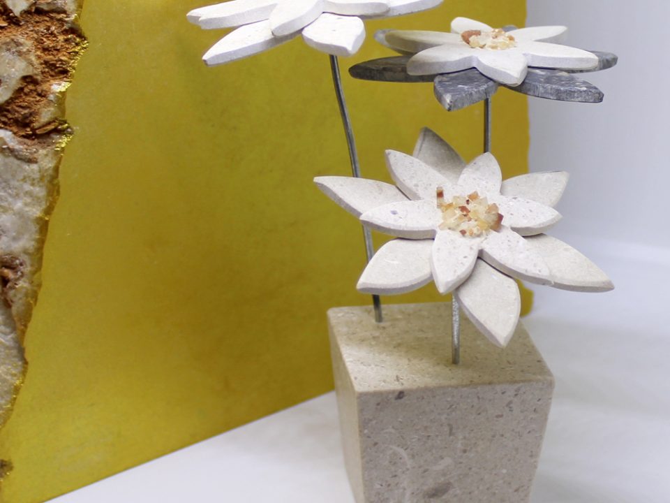 Bozicni pokloni božićna zvijezda